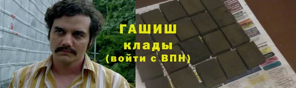 PSILOCYBIN Кинешма