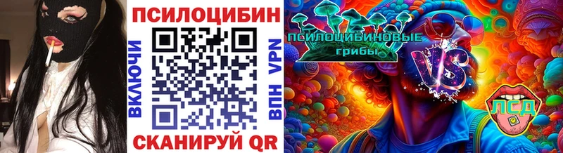 Купить закладки  Лесосибирск  Псилоцибиновые грибы Cubensis 